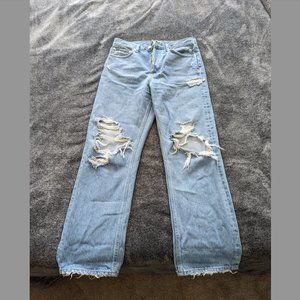 AGOLDE 90s Mid Rise Loose Fit in Fall Out